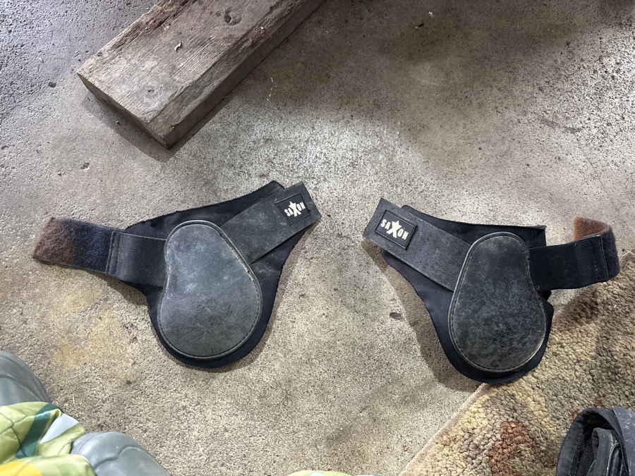 Fetlock Boots
