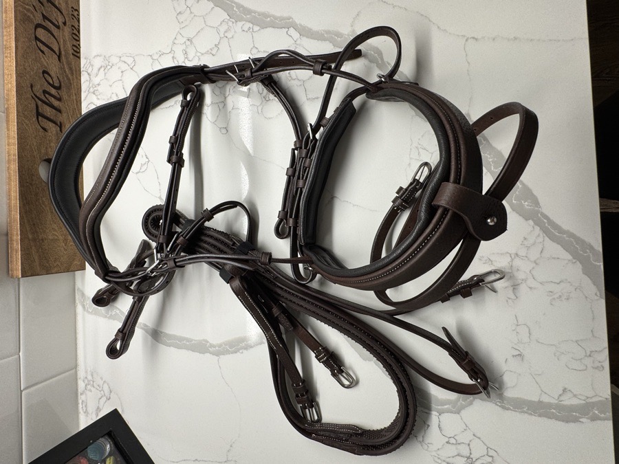 Forestier Sellier French Bridle Horse