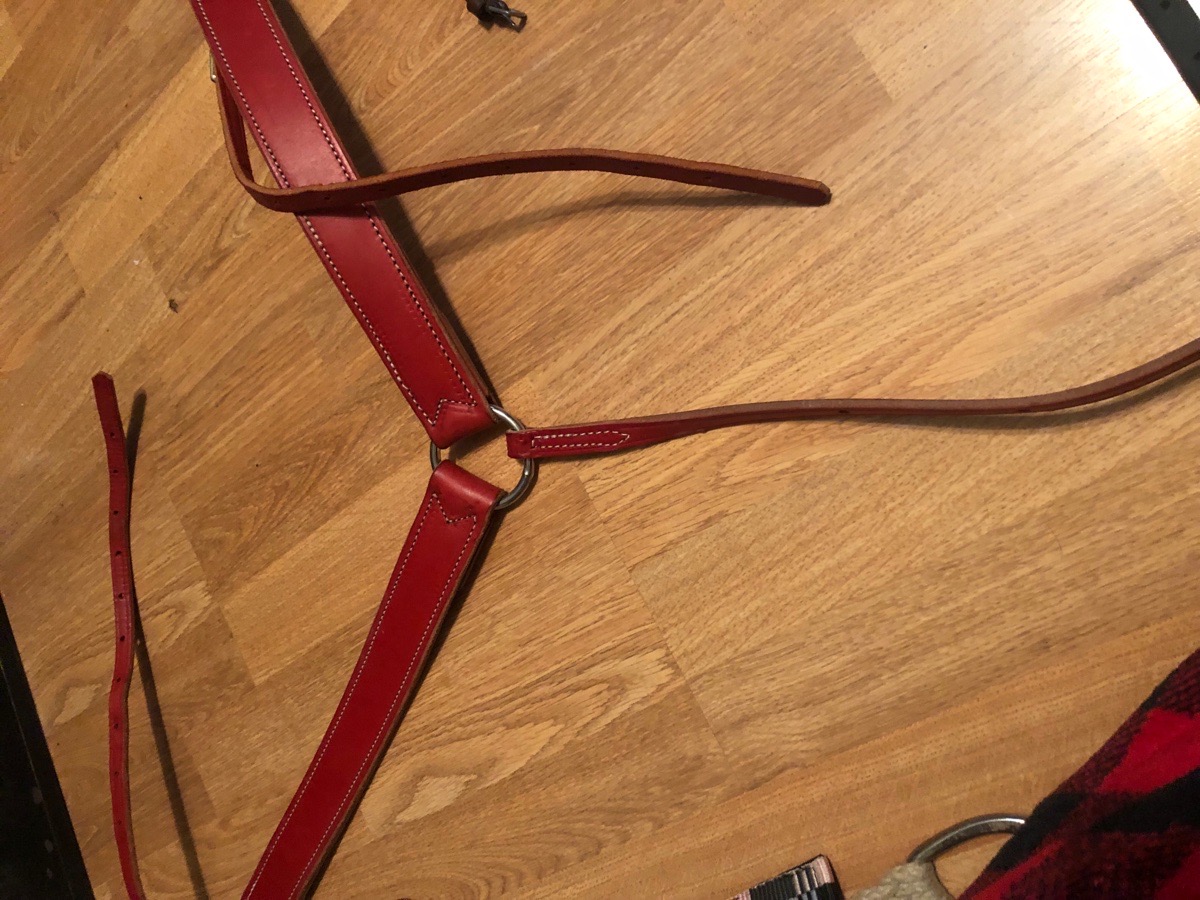 Red leather breastcollar 