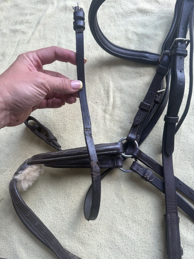 full sized figure 8 with cob noseband