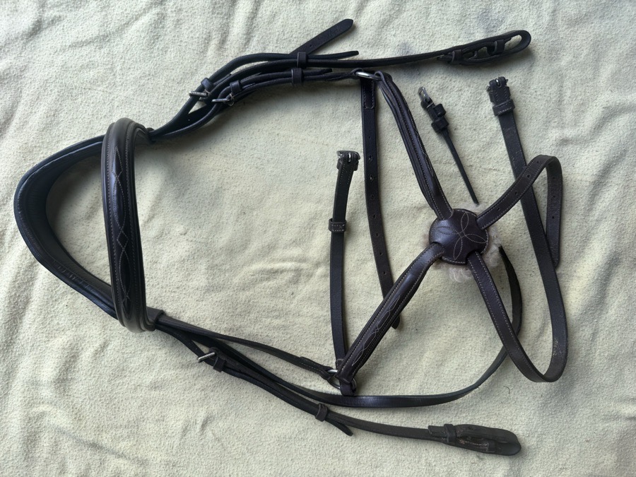 full sized figure 8 with cob noseband