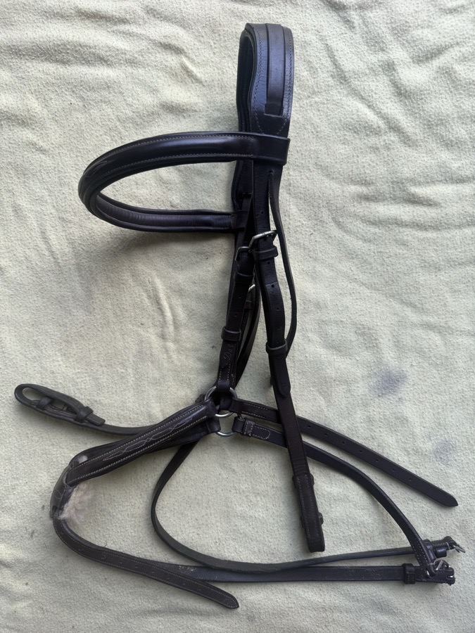 full sized figure 8 with cob noseband