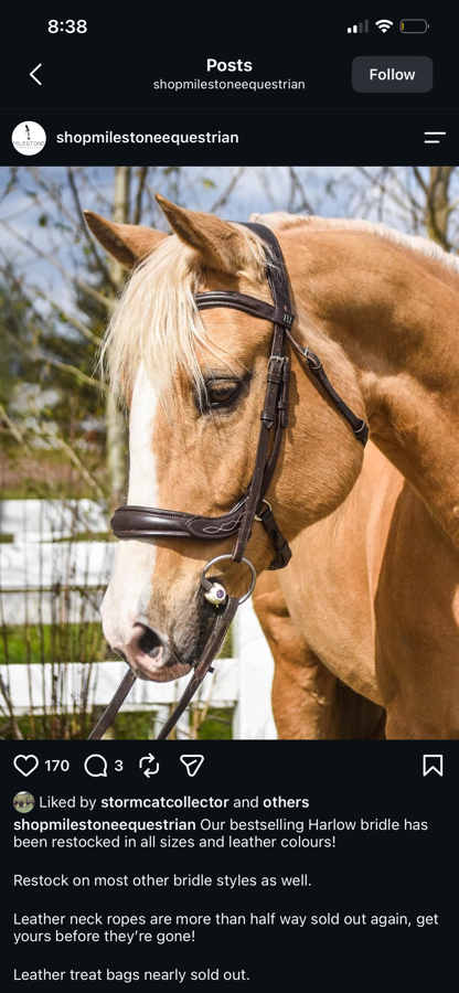 MILESTONE EQUESTRIAN Bridle & Co