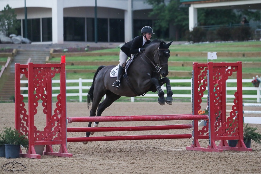 Diarano “Dino” 16.2 WB for lease