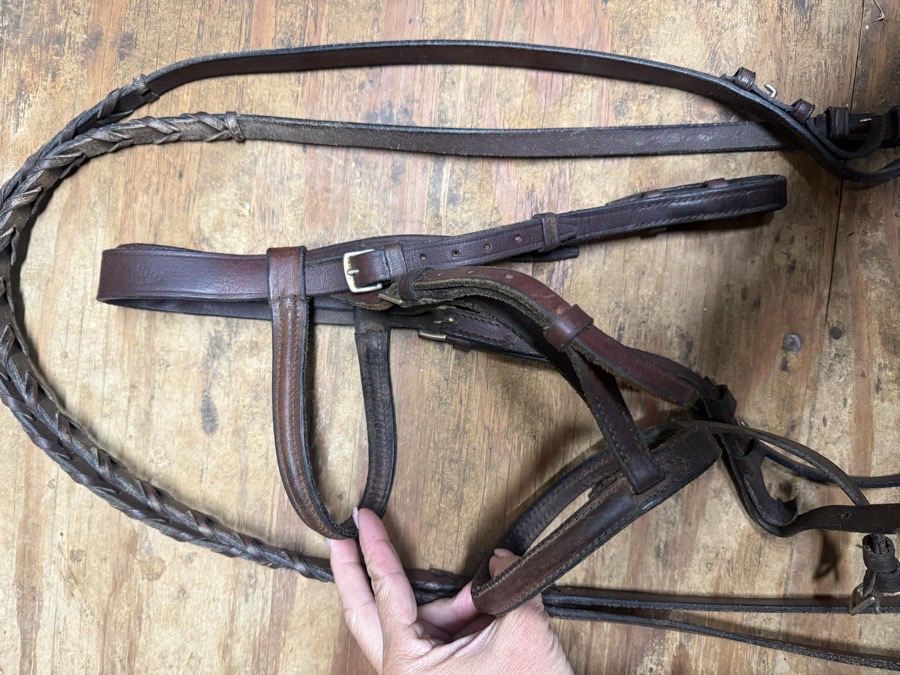 Pony bridle and reins 