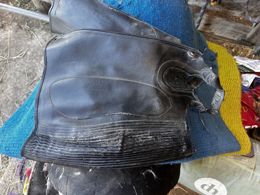 OVATION half chaps