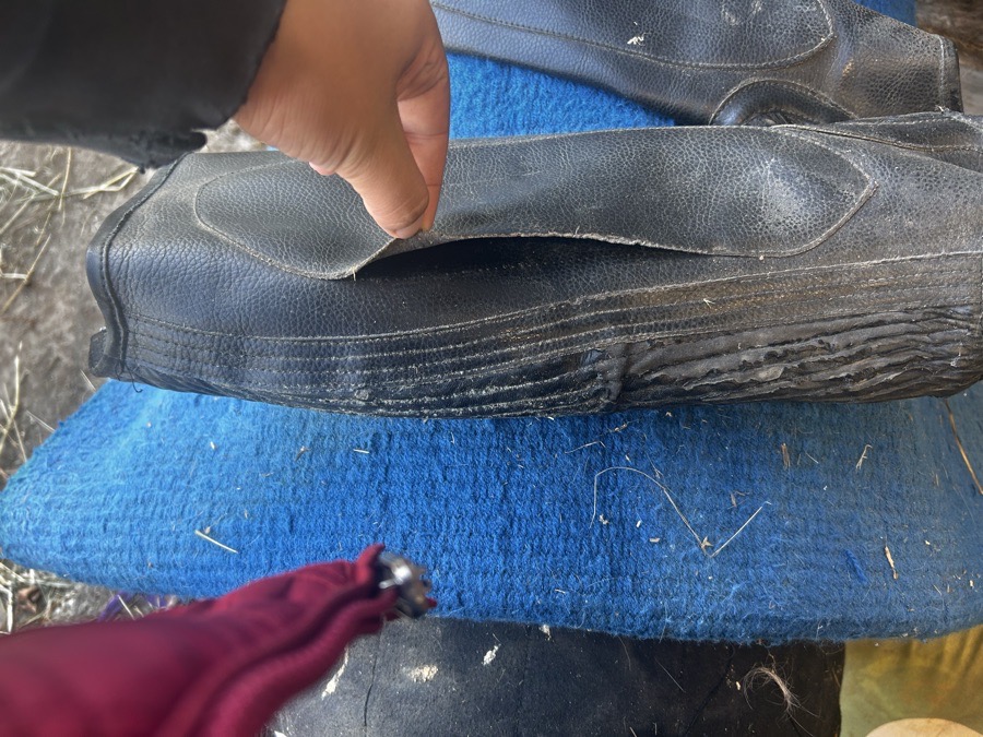 OVATION half chaps