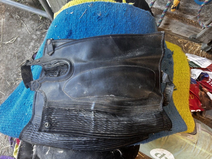 OVATION half chaps