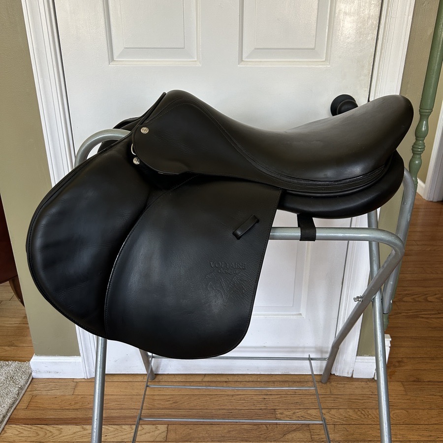 18.5” Voltaire Palm Beach