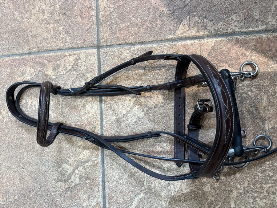 Bridle