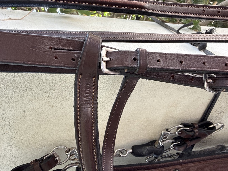 Bridle