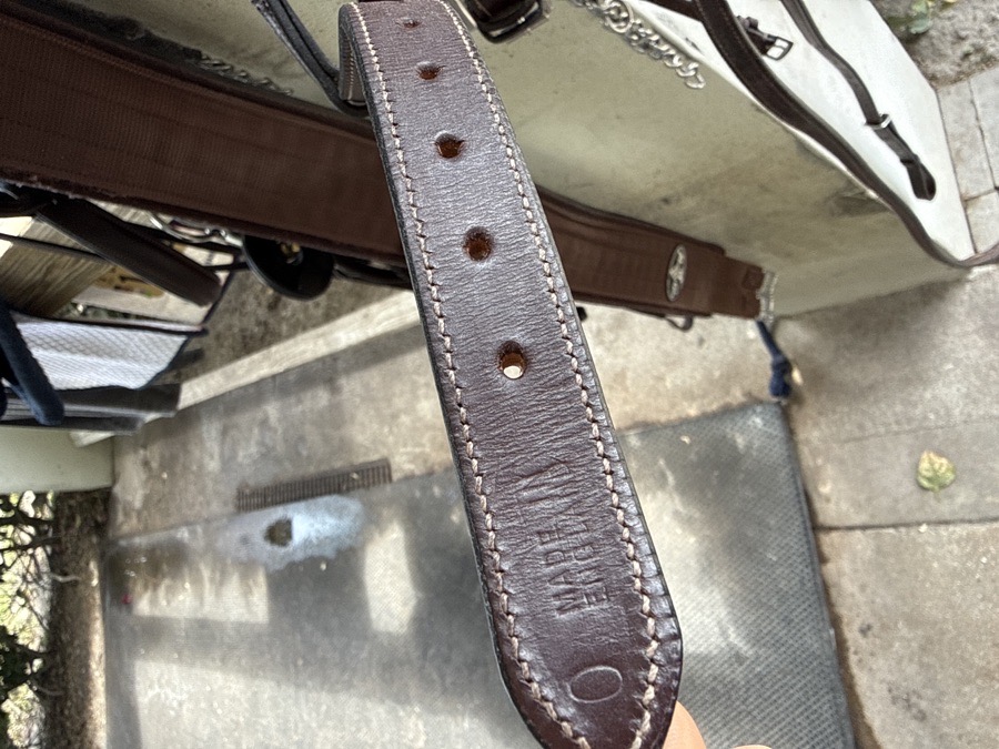 Bridle