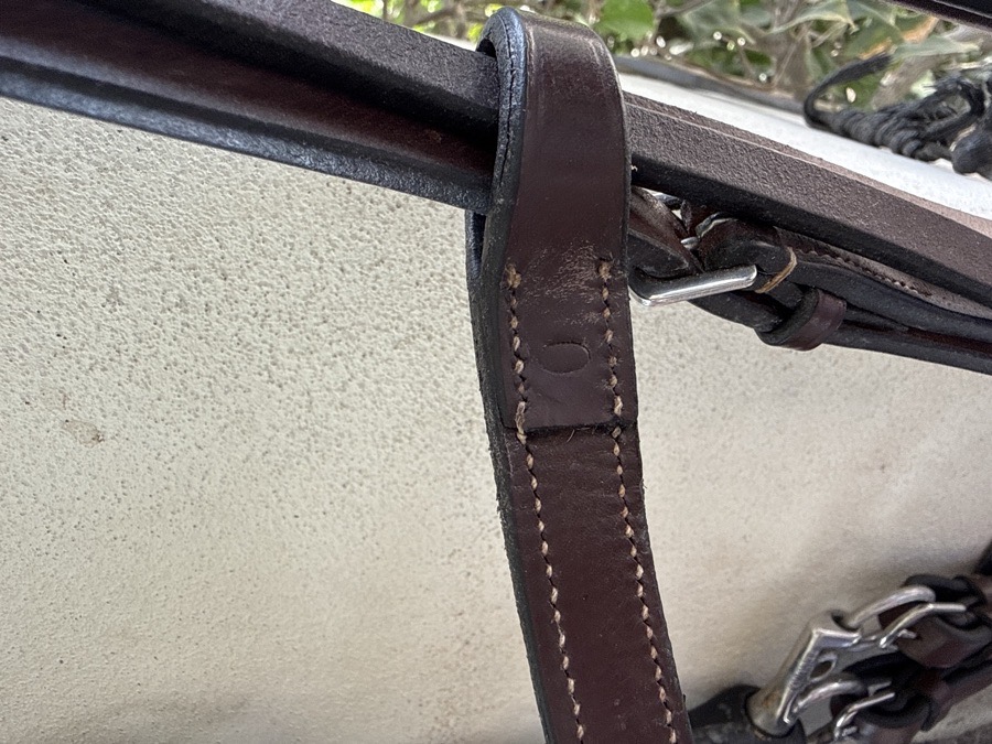 Bridle