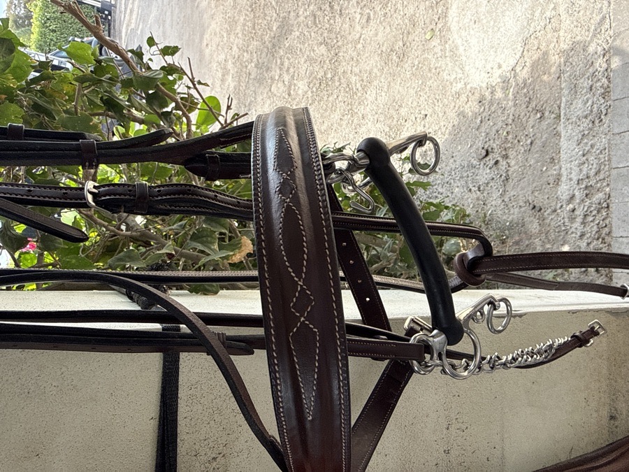 Bridle