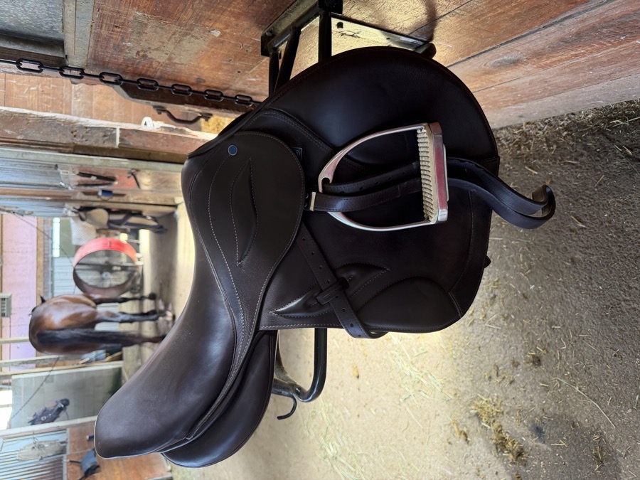 STUBBEN | 17.5" | 6" Tree Size | 2026