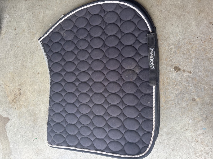 CoolBlast all-purpose saddle pad