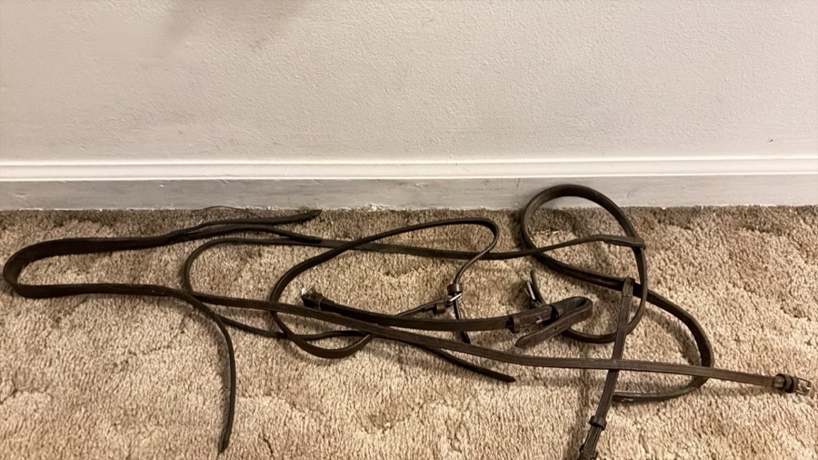 OTHER Bridle Horse