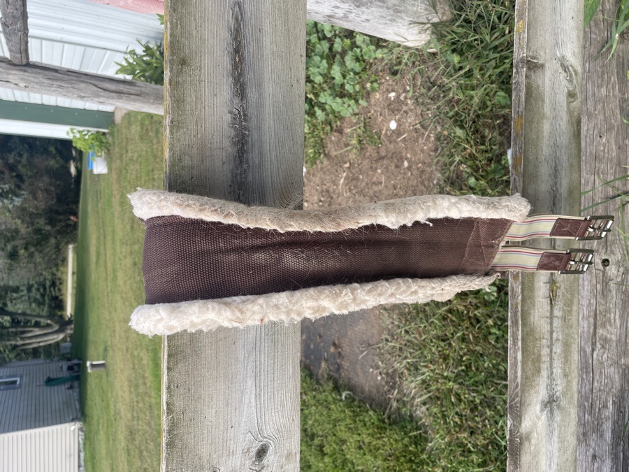 Fleece English girth