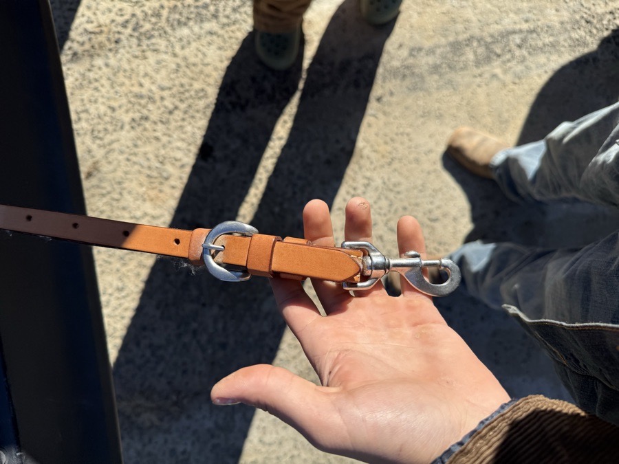 Billy Cook Breastcollar