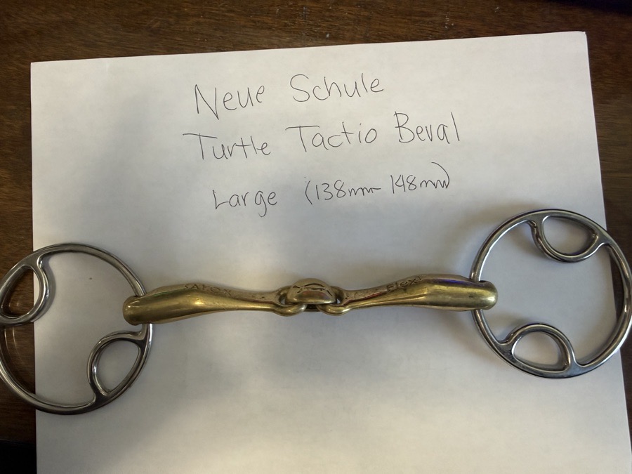 Neue Schule Turtle Tactio Beval