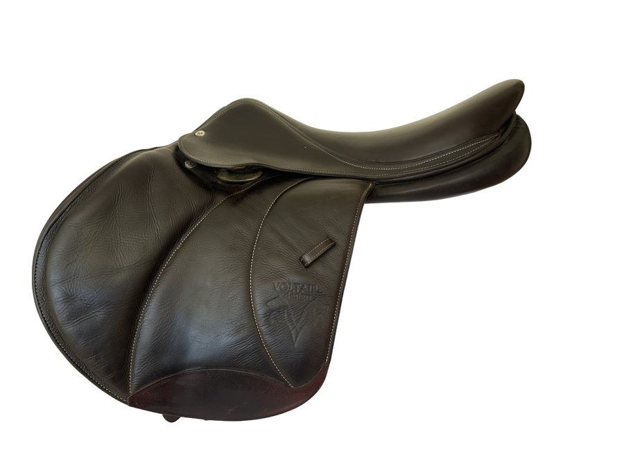 VOLTAIRE Palm Beach | 17.5" 2 | 5" Tree Size | 2018