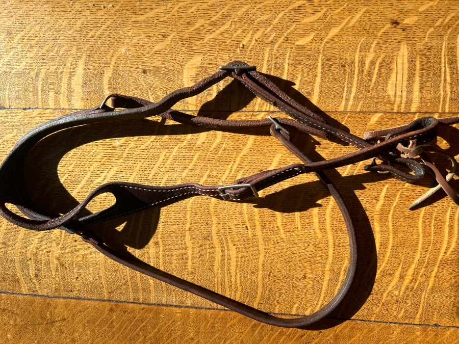 One Ear Harness Headstall