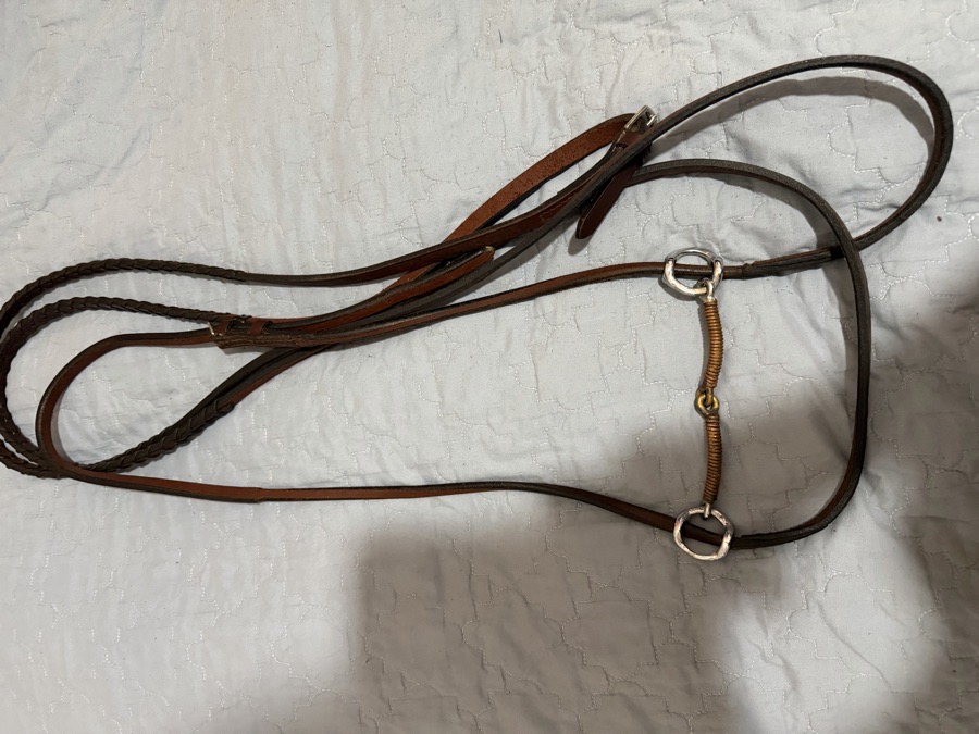OTHER Gag Bradoon Hanger w/Bit