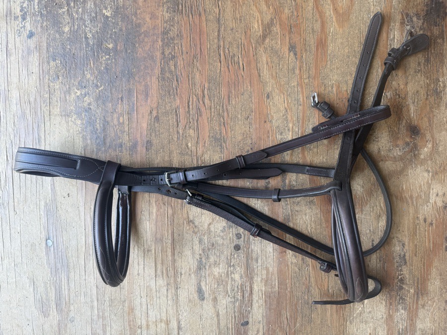 Full sized fancy stitch bridle