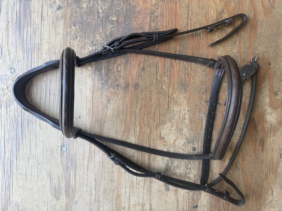 Full sized fancy stitch bridle