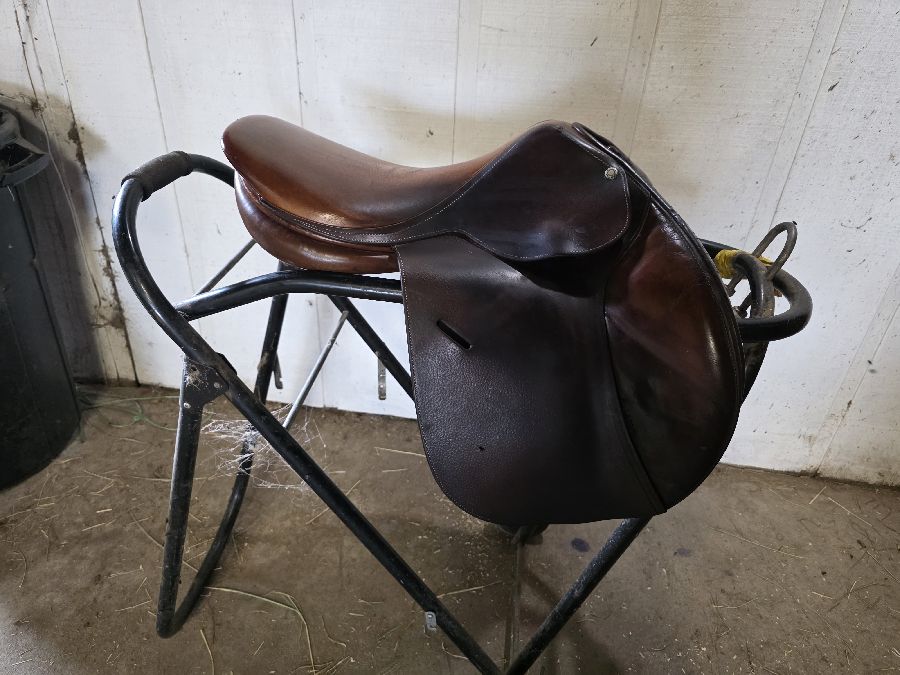 BUTET | 17" | 5" Tree Size