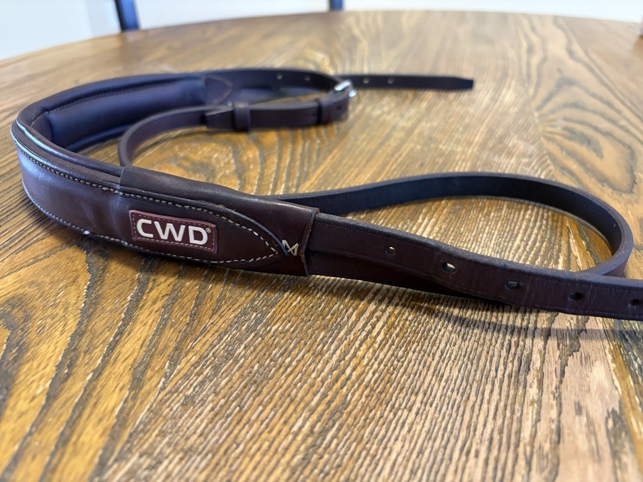 CWD Headpiece