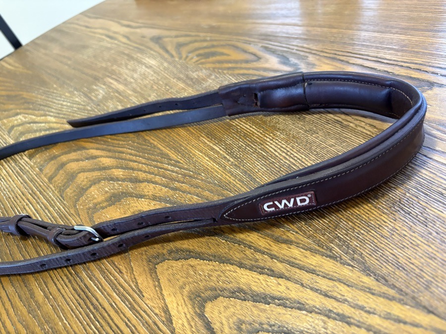 CWD Headpiece