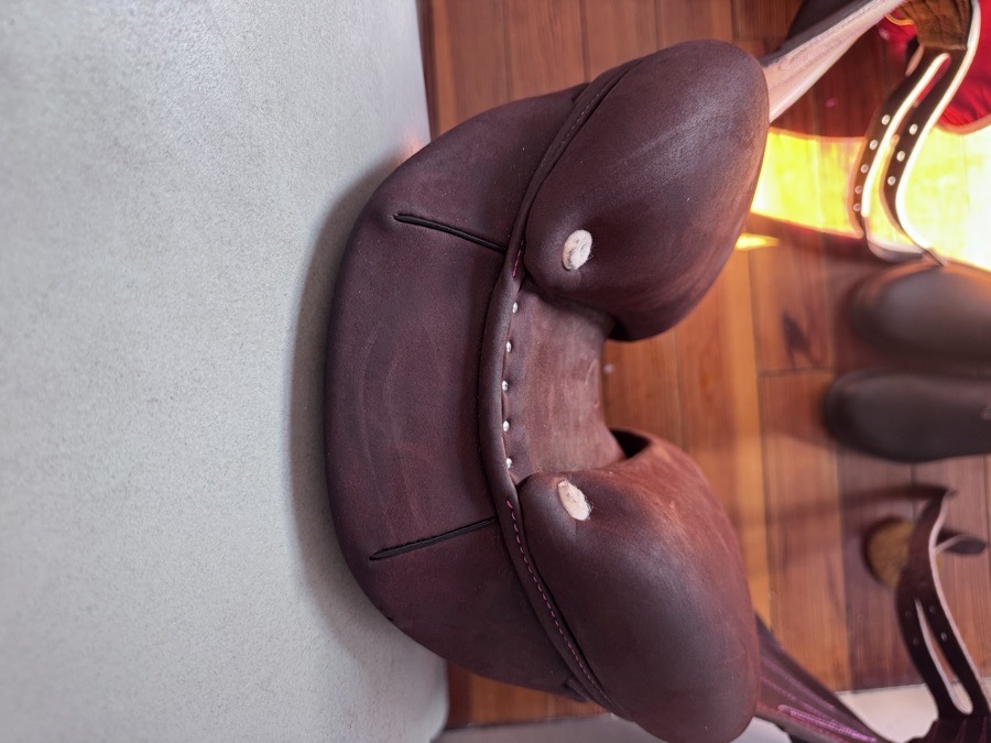 NEW 17” Antares Connexion Monoflap Saddle - 1AA - Full Buffalo