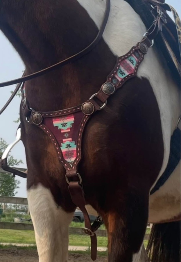 Desert rose equine tack set
