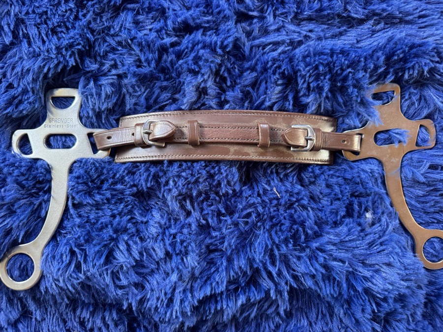 Hackamore with padded noseband