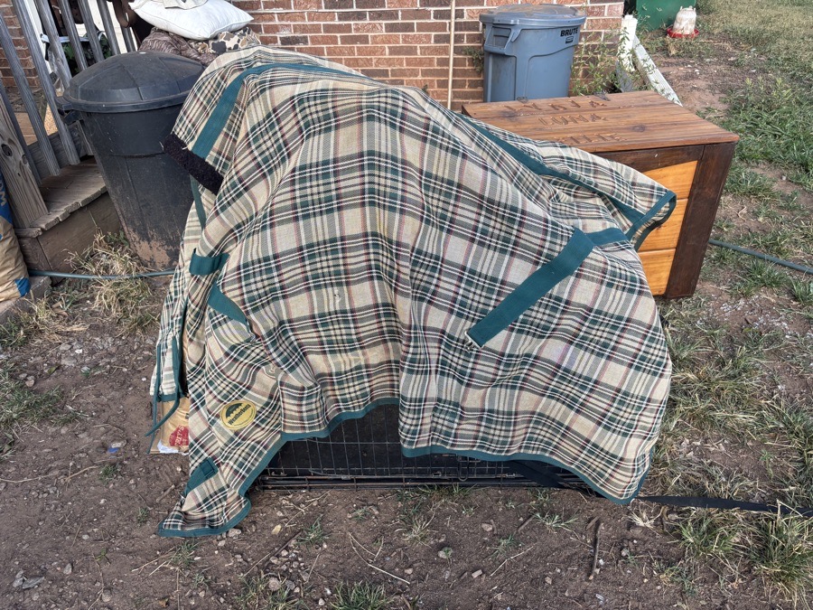 Weatherbeeta fly sheet 