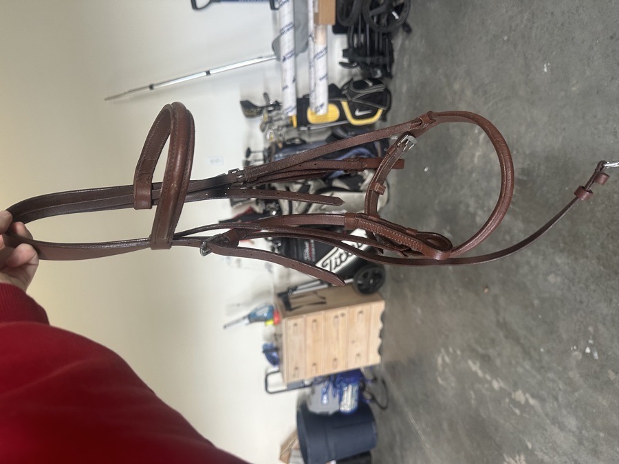 silver fox oak bark bridle!