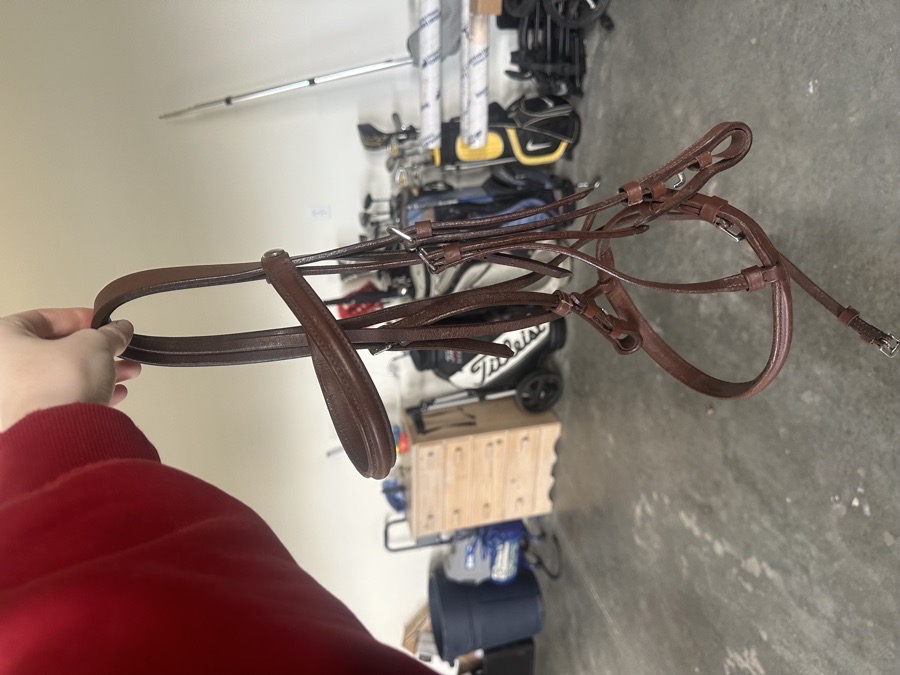 silver fox oak bark bridle!