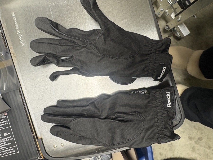 roeckle gloves  Show Outfit Accessories