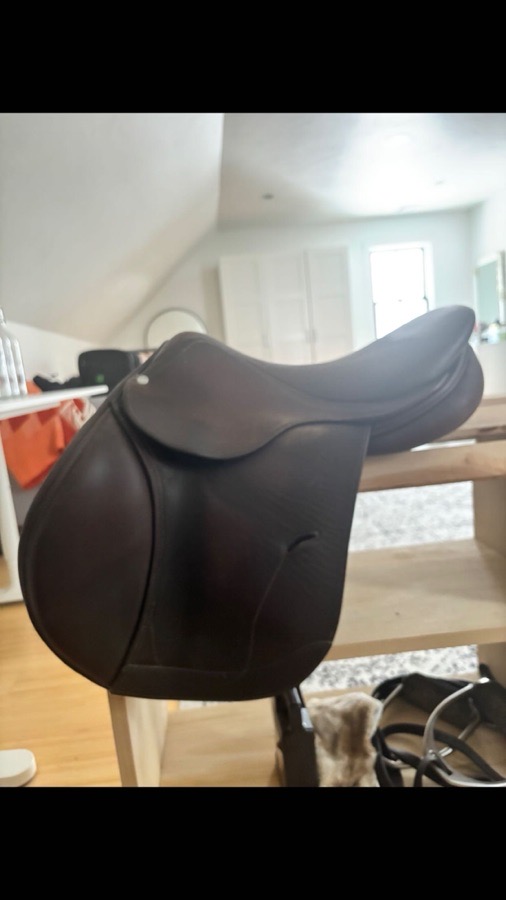 16.5 Antares saddle for sale