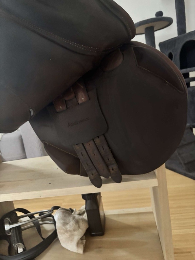 16.5 Antares saddle for sale