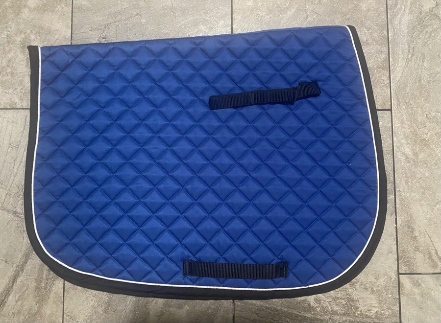 Ear Bonnet & Matching Pad - Royal Blue - Horse Size