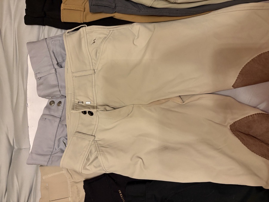 RJ CLASSICS Riding Pants - Breeches