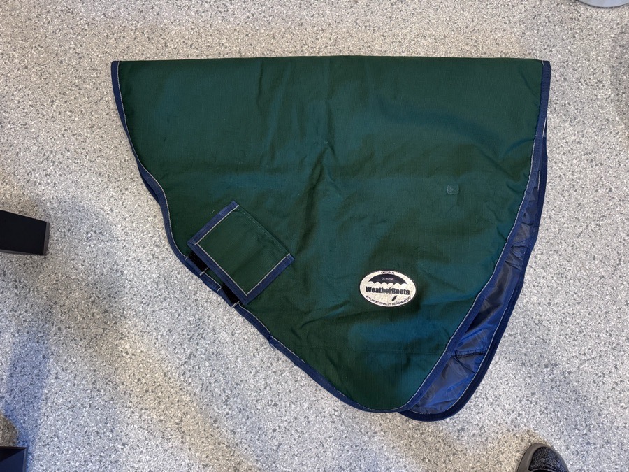 WEATHERBEETA Rain Blanket & Sheets Horse