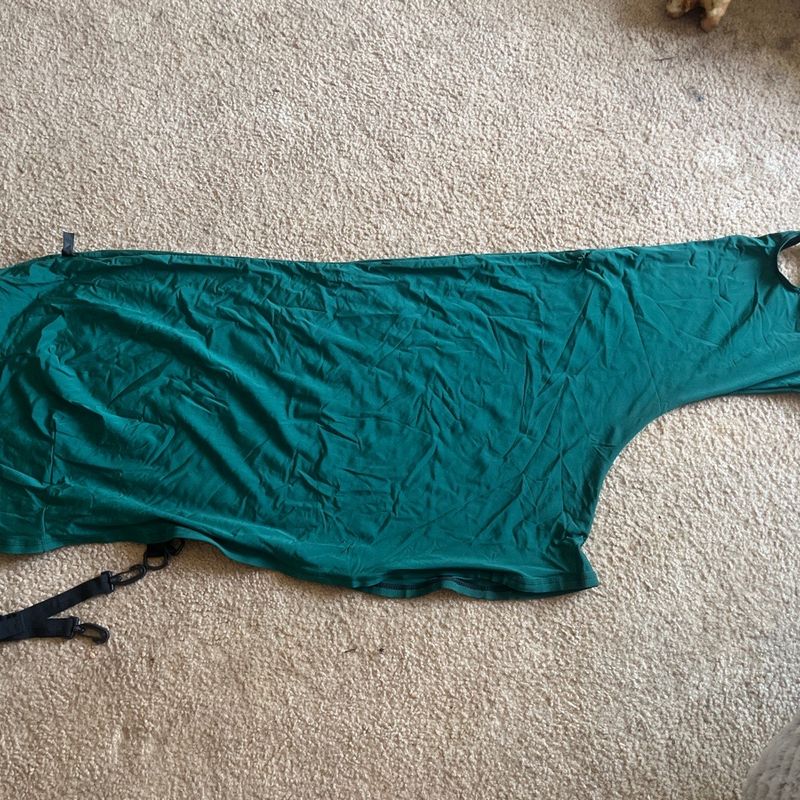 Mini horse full body sleazy