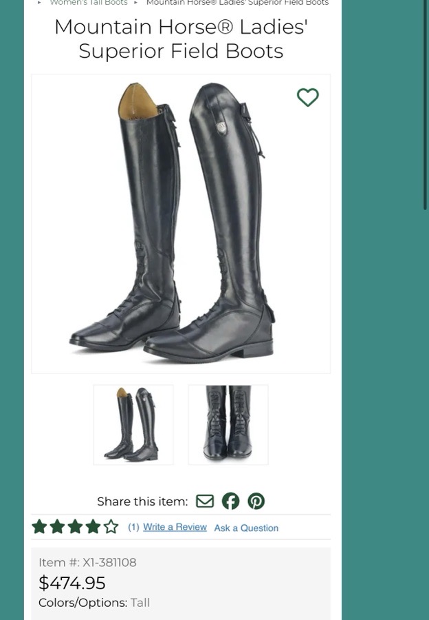 NWT mountain horse boots 