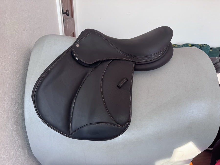 16.5” 2023 Voltaire Palm Beach PRO Saddle - 2AA - Full Buffalo