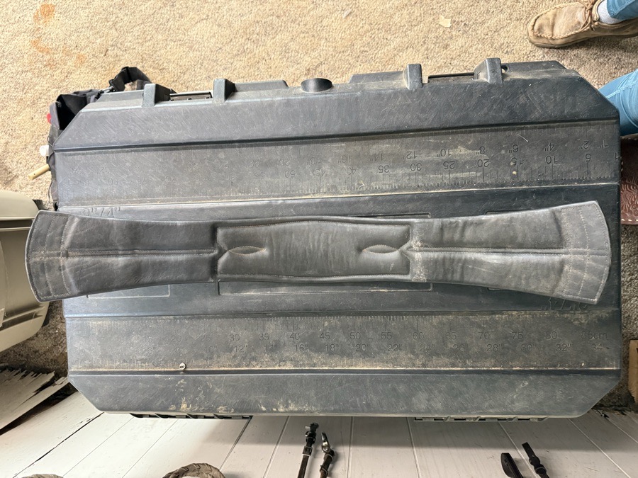 Dressage Girth