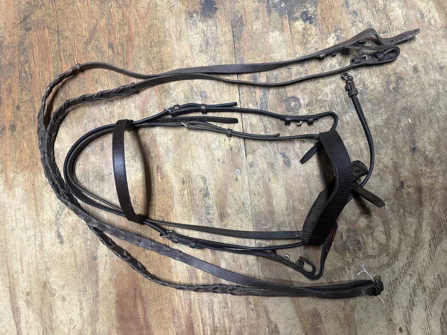 Cob sized schooling bridle and reins