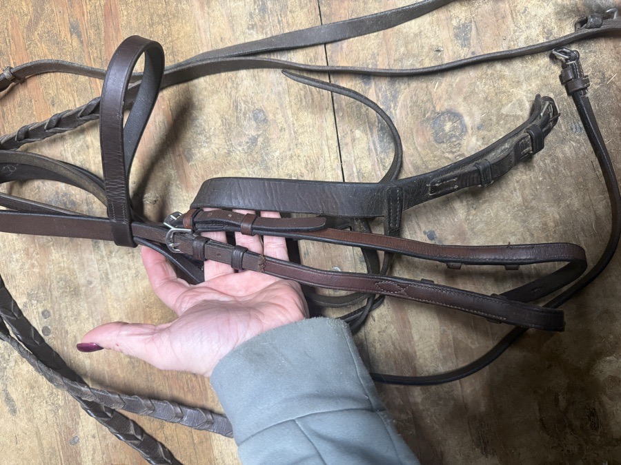 Cob sized schooling bridle and reins